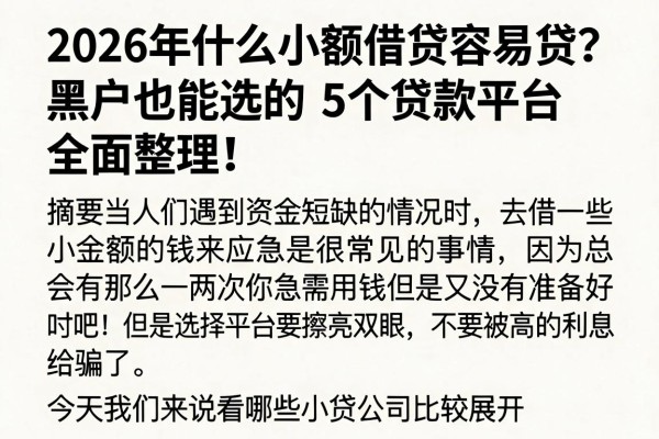 2026年什么小额借贷容易贷?黑户也能选的5个贷款平台全面整理!