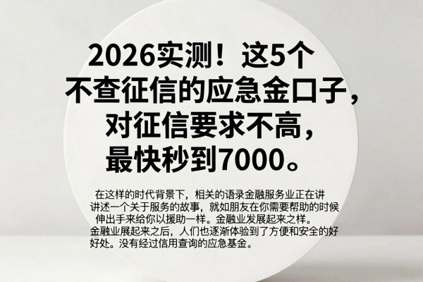 2026实测！这5个不查征信的应急金口子，对征信要求不高，最快秒到7000