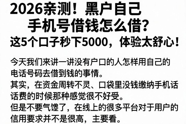 2026亲测!黑户自己手机号借钱怎么借?这5个口子秒下5000,体验太舒心