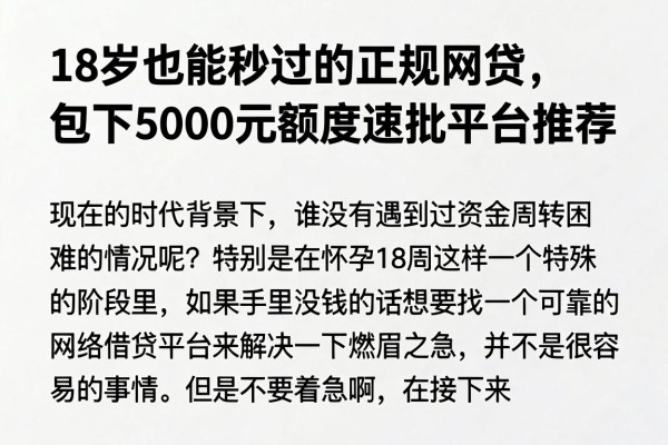 18岁也能秒过的正规网贷,包下5000元额度速批平台推荐