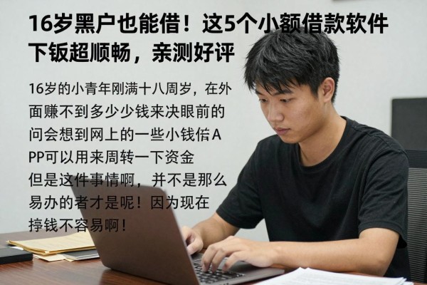 16岁黑户也能借!这5个小额借款软件下款超顺畅,亲测好评
