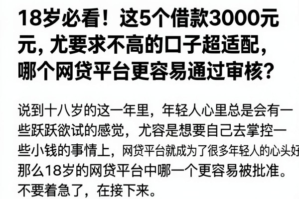 18岁必看!这5个借款3000元要求不高的口子超适配,哪个网贷平台更容易通过审核?
