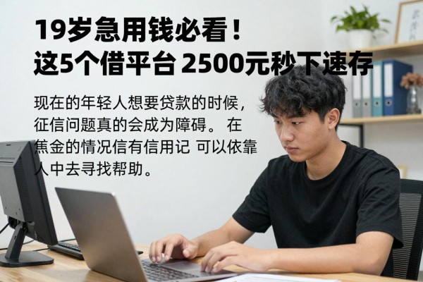 19岁急用钱必看！这5个借钱平台不看征信，2500元秒下速存