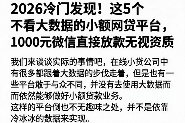 2026冷门发现!这5个不看大数据的小额网贷平台,1000元微信直接放款无视资质