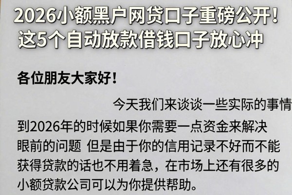 2026小额黑户网贷口子重磅公开！这5个自动放款借钱口子放心冲