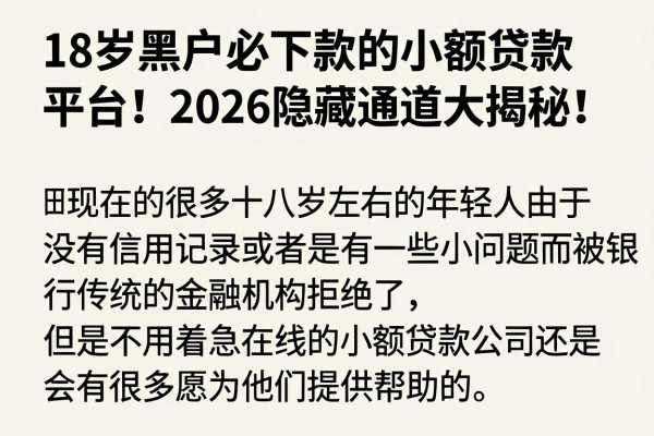 18岁黑户必下款的小额贷款平台!2026隐藏通道大揭秘!