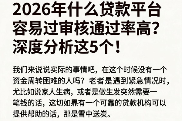 2026年什么贷款平台容易过审核通过率高?深度分析这5个!