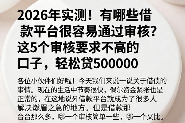 2026年实测!有哪些借款平台很容易通过审核?这5个审核要求不高的口子,轻松贷50000
