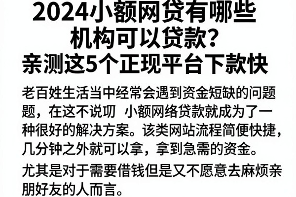 2024小额网贷有哪些机构可以贷款？亲测这5个正规平台下款快