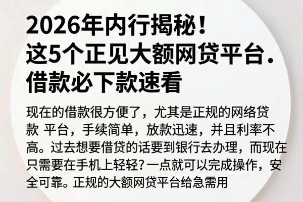 2026年内行揭秘！这5个正规大额网贷平台，借款必下款速看