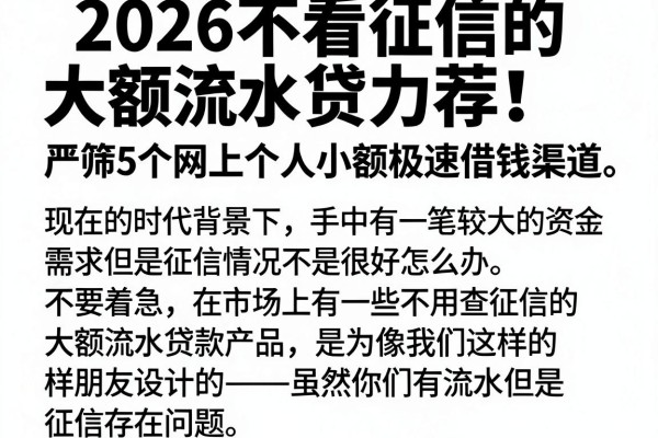 2026不看征信的大额流水贷力荐!严筛5个网上个人小额极速借钱渠道