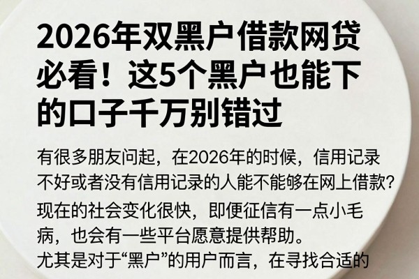 2026年双黑户借款网贷必看！这5个黑户也能下的口子千万别错过