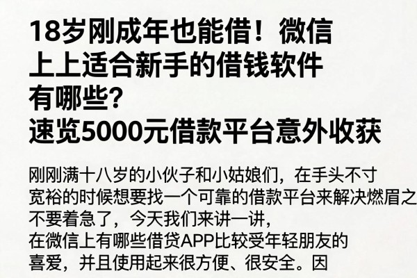 18岁刚成年也能借！微信上适合新手的借钱软件有哪些？速览5000元借款平台意外收获
