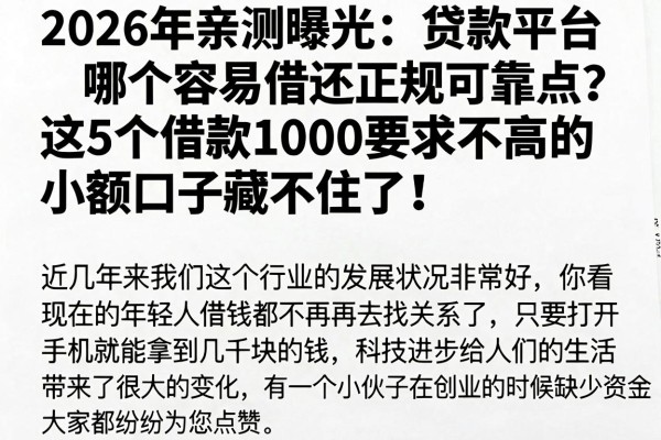 2026年亲测曝光：贷款平台哪个容易借还正规可靠点？这5个借款1000要求不高的小额口子藏不住了！