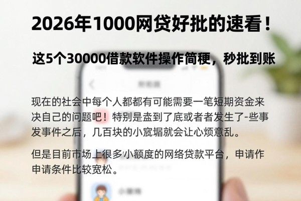 2026年1000网贷好批的速看！这5个30000借款软件操作简便，秒批到账