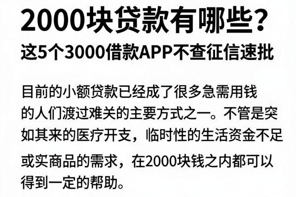2000块贷款有哪些?这5个3000借款APP不查征信速批
