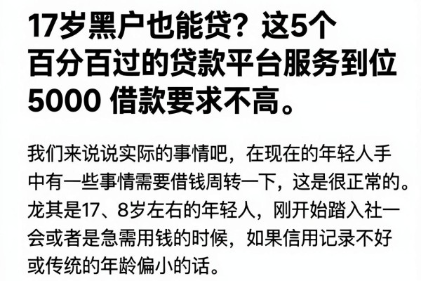 17岁黑户也能贷？这5个百分百过的贷款平台服务到位，5000借款要求不高