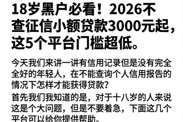 18岁黑户必看!2026不查征信小额贷款3000元起,这5个平台门槛超低