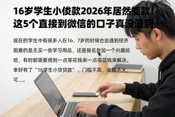 16岁学生小额贷款2026年居然能下款！这5个直接到微信的口子真没想到