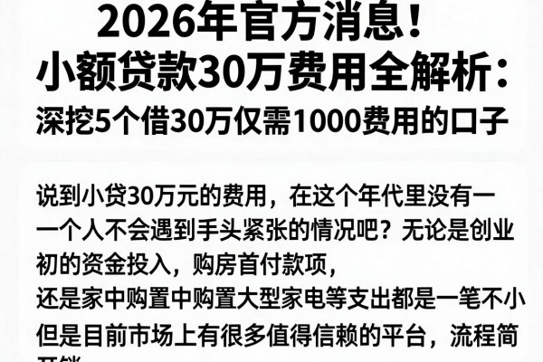 2026年官方消息!小额贷款30万费用全解析:深挖5个借30万仅需1000费用的口子