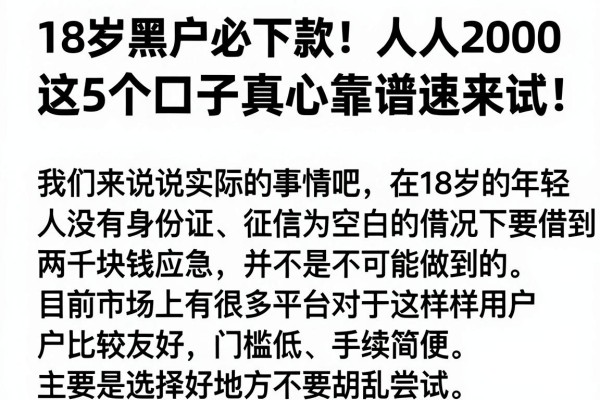 18岁黑户必下款!人人2000这5个口子真心靠谱速来试