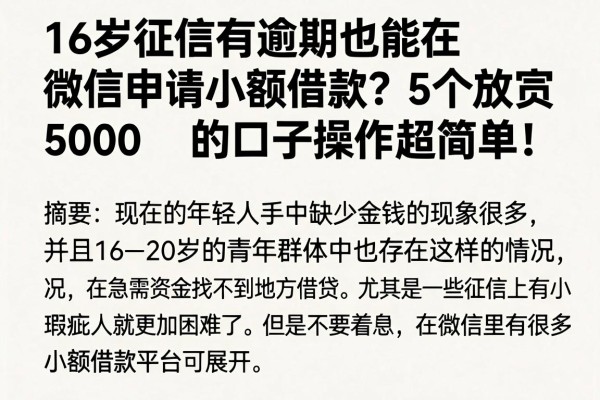 16岁征信有逾期也能在微信申请小额借款？5个放款5000的口子操作超简单！