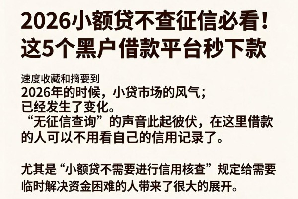 2026小额贷不查征信必看!这5个黑户借款平台秒下款,速度收藏