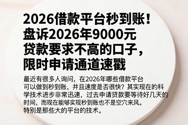 2026借款平台秒到账!盘点2026年9000元贷款要求不高的口子,限时申请通道速戳