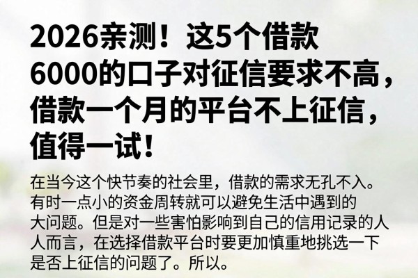 2026亲测！这5个借款6000的口子对征信要求不高，借款一个月的平台不上征信，值得一试！