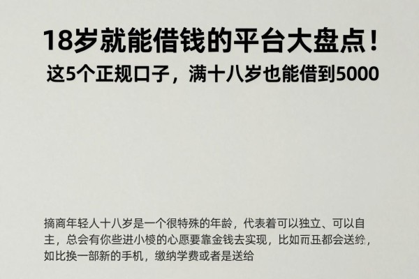 18岁就能借钱的平台大盘点!这5个正规口子,满十八岁也能借到5000