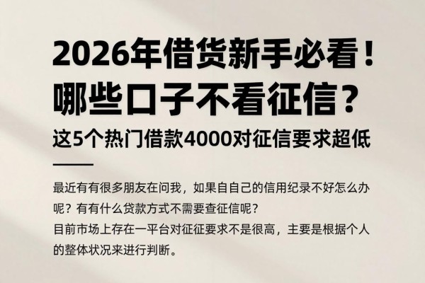 2026年借贷新手必看!哪些口子不看征信?这5个热门借款4000对征信要求超低