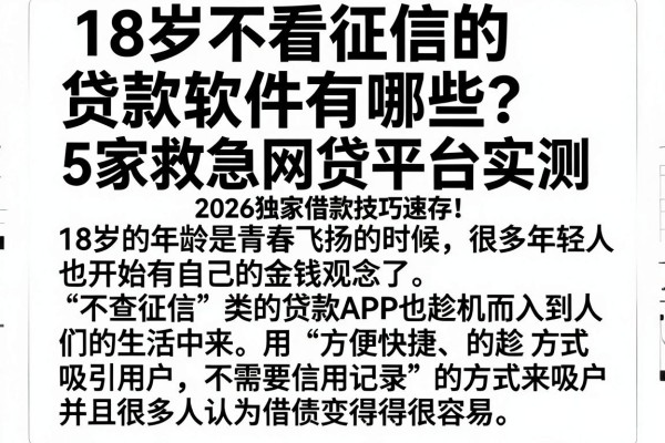 18岁不看征信的贷款软件有哪些?5家救急网贷平台实测,2026独家借款技巧速存!
