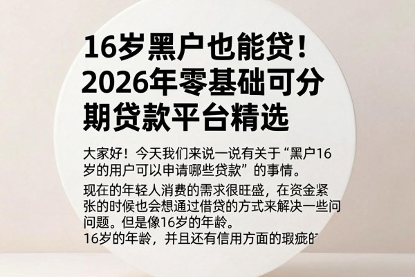 16岁黑户也能贷！2026年零基础可分期贷款平台精选