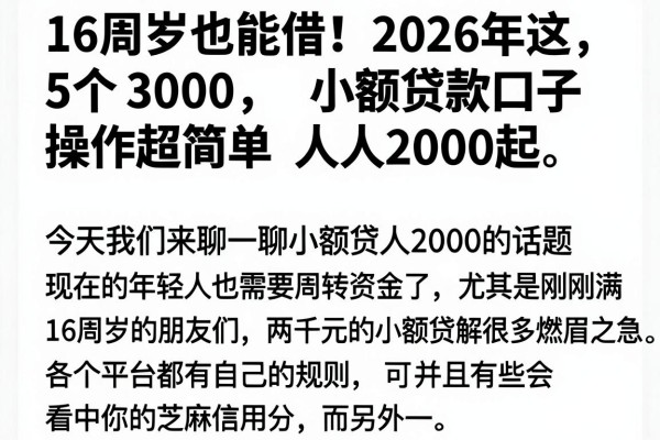 16周岁也能借！2026年这5个3000小额贷款口子操作超简单，人人2000起