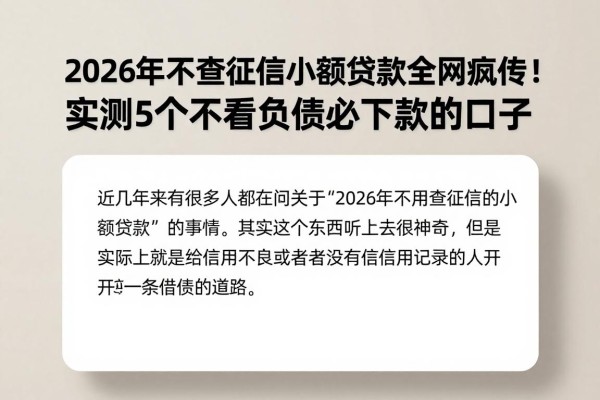 2026年不查征信的小额贷款全网疯传!实测5个不看负债必下款的口子