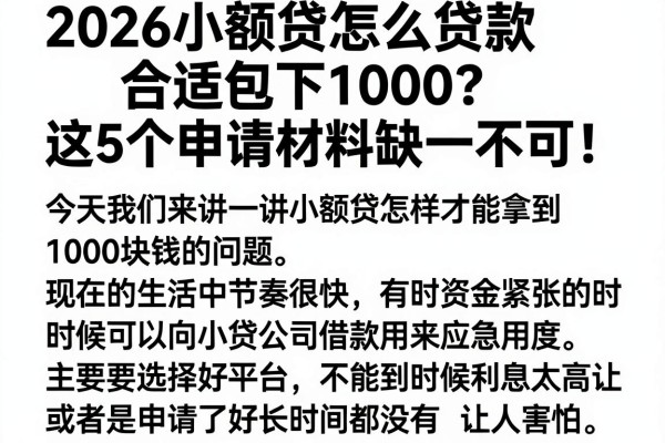 2026小额贷怎么贷款合适包下1000？这5个申请材料缺一不可！