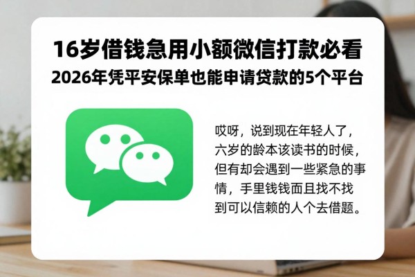 16岁借钱急用小额微信打款必看!2026年凭平安保单也能申请贷款的5个平台