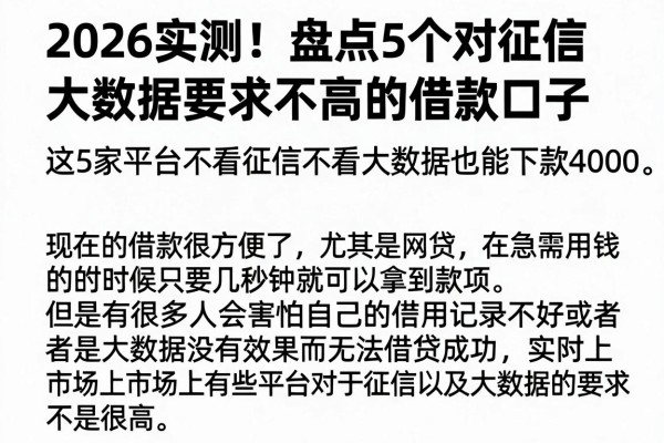 2026实测!盘点5个对征信大数据要求不高的借款口子,这5家平台不看征信不看大数据也能下款4000
