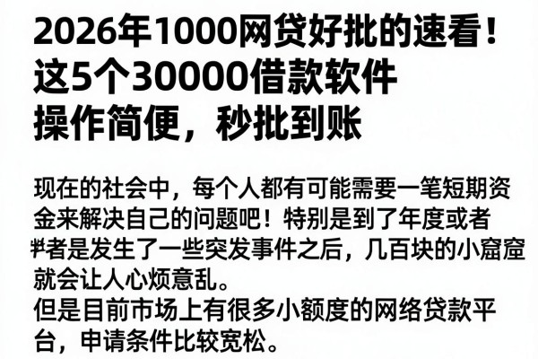 2026年1000网贷好批的速看!这5个30000借款软件操作简便,秒批到账