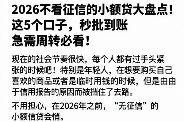 2026不看征信的小额贷大盘点！这5个口子秒批到账，急需周转必看