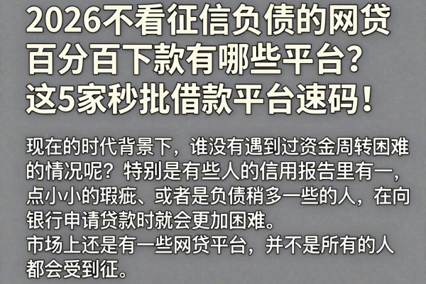 2026不看征信负债的网贷百分百下款有哪些平台?这5家秒批借款平台速码!