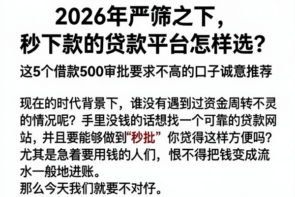2026年严筛之下，秒下款的贷款平台怎样选？这5个借款500审批要求不高的口子诚意推荐