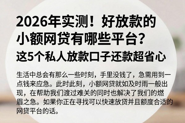 2026年实测！好放款的小额网贷有哪些平台？这5个私人放款口子还款超省心