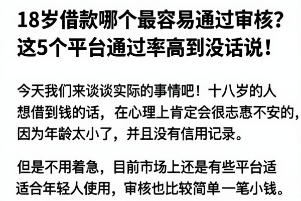 18岁借款哪个最容易通过审核?这5个平台通过率高到没话说!
