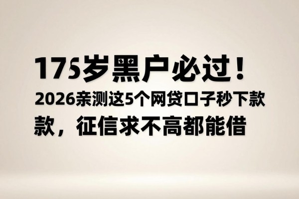 17岁黑户必过！2026亲测这5个网贷口子秒下款，征信要求不高都能借