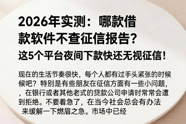 2026年实测:哪款借款软件不查征信报告?这5个平台夜间下款快还无视征信!