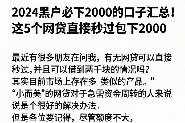 2024黑户必下2000的口子汇总!这5个网贷直接秒过包下2000