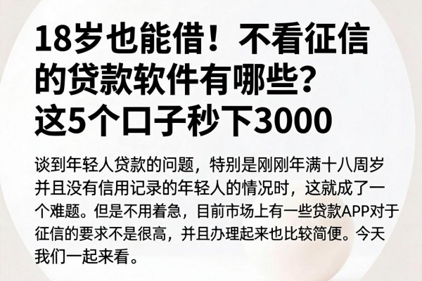 18岁也能借!不看征信的贷款软件有哪些?这5个口子秒下3000