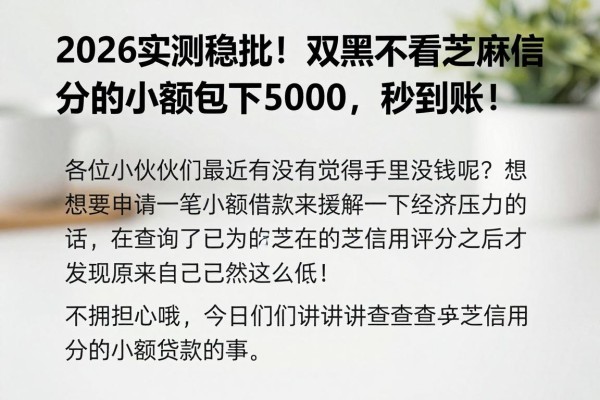 2026实测稳批!双黑不看芝麻信用分的小额包下5000,秒到账!