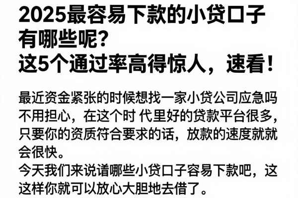 2025最容易下款的小贷口子有哪些呢？这5个通过率高得惊人，速看！